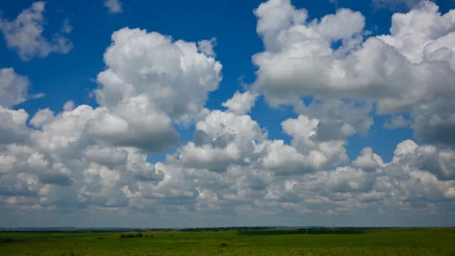 Prairie Landscape