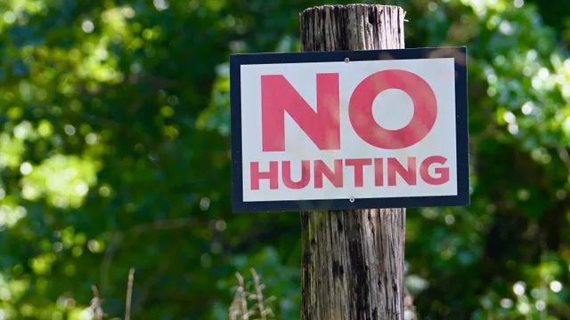 Rural Scene (No Hunting sign)