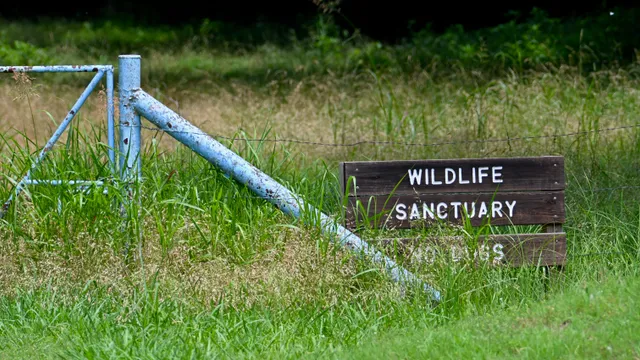 Wildlife Sanctuary (sign)