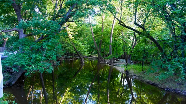 Creek Landscape