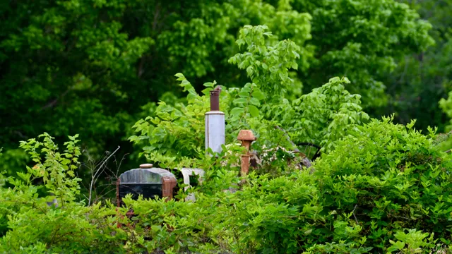 Rural Scene