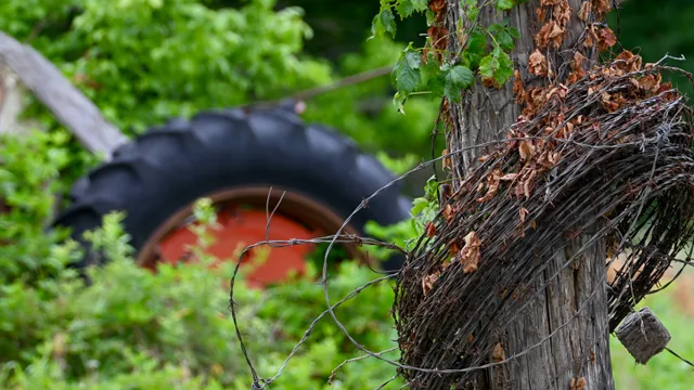 Rural Scene (tractor tire)