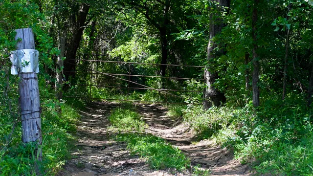 Woodland Trail